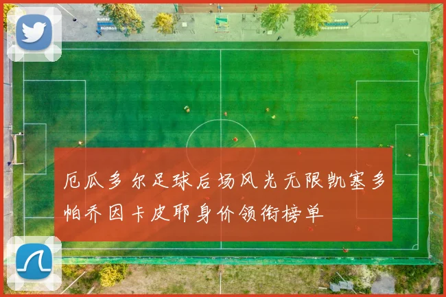 厄瓜多尔足球后场风光无限凯塞多帕乔因卡皮耶身价领衔榜单
